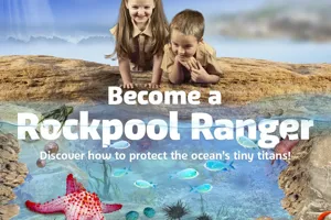 Rockpool Ranger 2025 KV